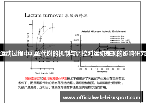 运动过程中乳酸代谢的机制与调控对运动表现的影响研究